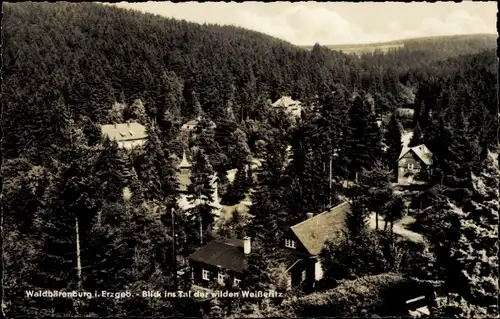 Ak Waldbärenburg Bärenburg Altenberg im Erzgebirge, Blick ins Tal der wilden Weißeritz