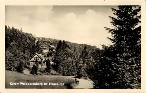 Ak Waldbärenburg Bärenburg Altenberg im Erzgebirge, Panorama mit Wald und Häusern