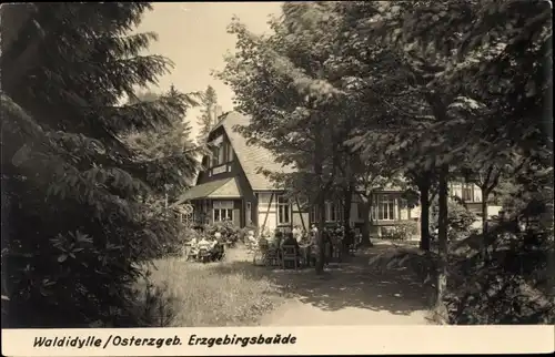Ak Waldidylle Altenberg im Erzgebirge, Erzgebirgsbaude, Fachwerkhaus