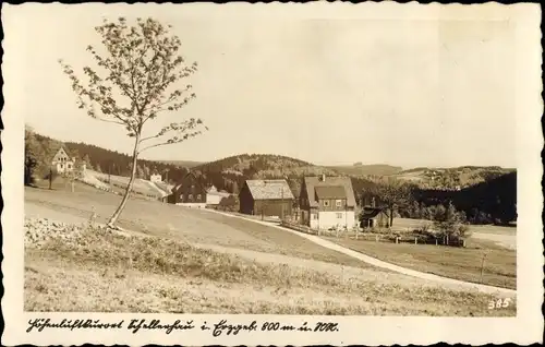 Ak Schellerhau Altenberg im Erzgebirge, Ortsansicht