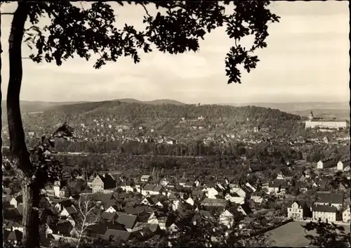 Ak Rudolstadt in Thüringen, Gesamtansicht