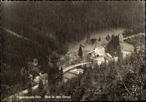 Ak Friedrichroda im Thüringer Wald, Blick in den Grund