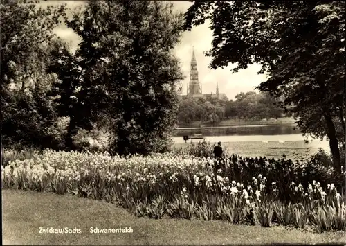 Ak Zwickau in Sachsen, Schwanenteich, Turm