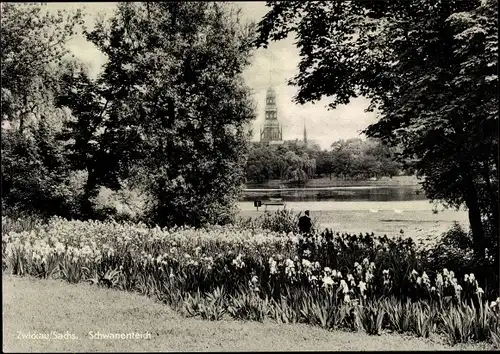 Ak Zwickau in Sachsen, Schwanenteich, Turm