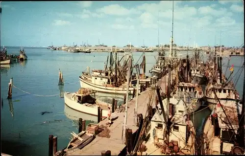 AK Key West Florida USA, Krabbenfischer im Hafen