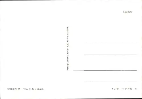 Ak Pferd mit Zaumzeug