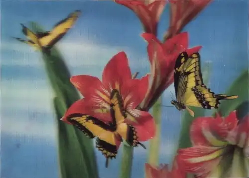 3 D Ak Schmetterlinge, Blüten