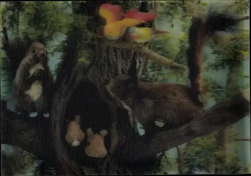 3 D Ak Eichhörnchen und Vögel auf einem Baum