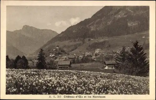 Ak Château d'Œx Oex Kanton Waadt, Panorama et les Narcisses