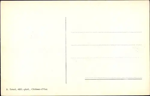 Ak Château d'Œx Oex Kanton Waadt, Panorama et les Narcisses