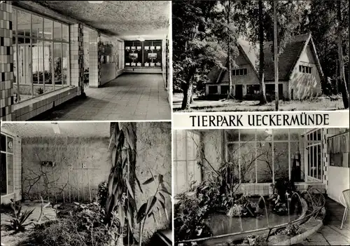 Ak Ueckermünde in Vorpommern, Tierpark, Vivarium