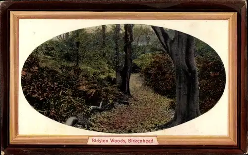 Passepartout Ak Birkenhead Nordwestengland, Bidston Woods