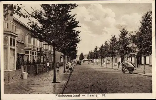 Ak Haarlem Nordholland Niederlande, Pijnboomstraat