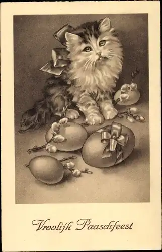 Ak Glückwunsch Ostern, Katze, Ostereier, Weidenkätzchen
