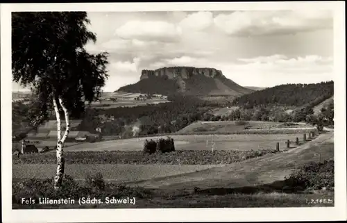 Ak Bad Schandau an der Elbe, Lilienstein, Panorama