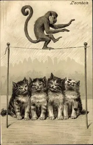 Präge Ak Katzen, Affe balanciert auf Seil