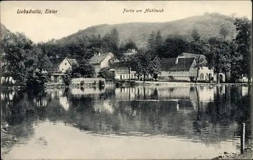 Ak Liebschwitz Gera in Thüringen, Partie am Mühlteich
