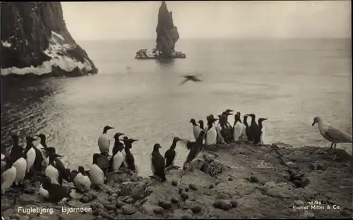 Ak Fuglebjerg Dänemark, Bjørnoen