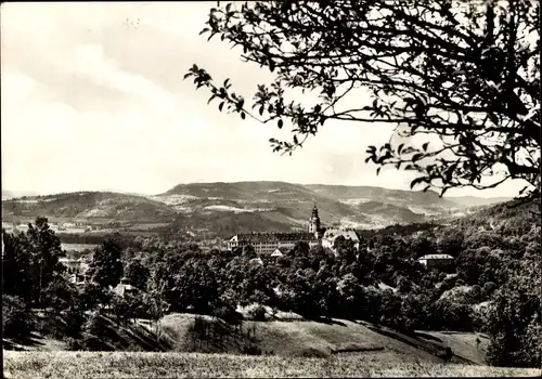 Ak Rudolstadt in Thüringen, Panorama mit Heidecksburg