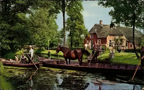 Ak Giethoorn Overijssel Niederlande, Vervoer paard per boot