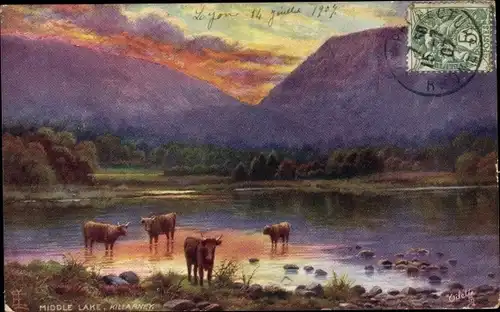 Künstler Ak Killarney Irland, Middle Lake