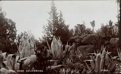 Ak Colesberg Südafrika, The Park
