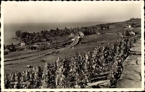 Ak Cully Bourg en Lavaux Kt. Waadt, Panorama