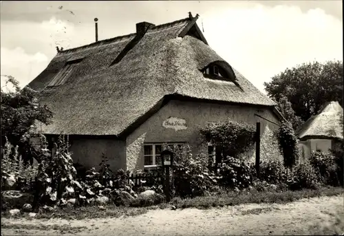 Ak Vitte Hiddensee, Blaue Scheune, Weg, Reetdach
