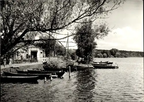 Ak Lychen in der Uckermark, am Oberpfuhlsee