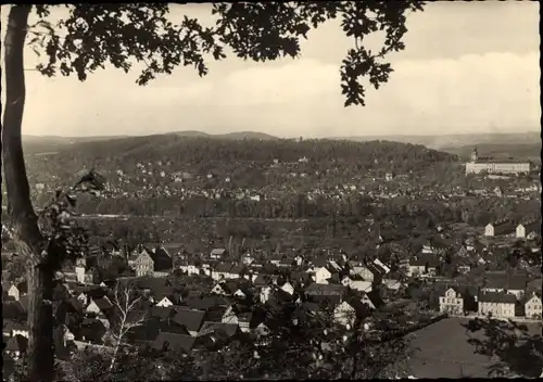 Ak Rudolstadt in Thüringen, Panorama