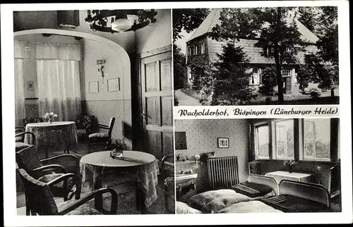Ak Bispingen Niedersachsen, Wacholderhof, Teilansichten