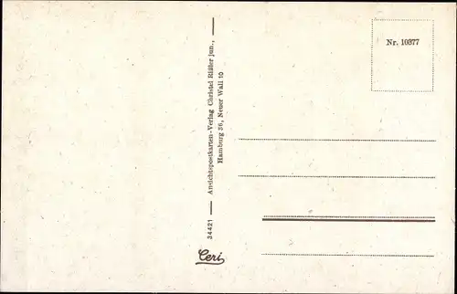 Ak Soltau in der Lüneburger Heide, Straßenpartie