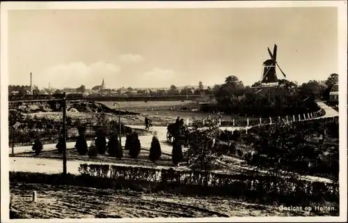 Ak Holten Overijssel Niederlande, Teilansicht, Windmühle