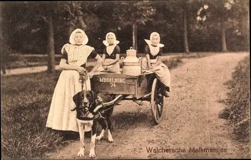 Ak Middelburg Zeeland Niederlande, Walcheren, Milchmädchen in Volkstracht, Hundekarren