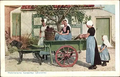 Ak Walcheren Zeeland, Hundekarren, Frauen in Tracht