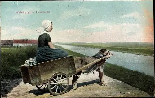 Ak Walcheren Zeeland, Mädchen in Tracht, Hundekarren