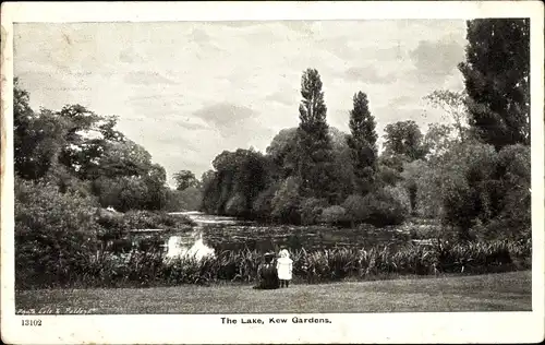 Ak Kew London Borough of Richmond upon Thames, The Lake, Gardens