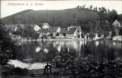 Ak Liebschwitz Gera in Thüringen, Teilansicht, Teich