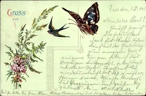 Litho Schmetterling und Schwalbe