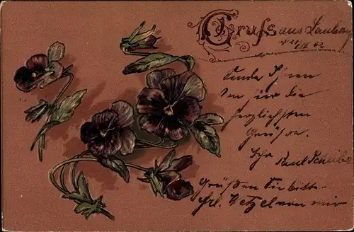 Präge Litho Stiefmütterchen