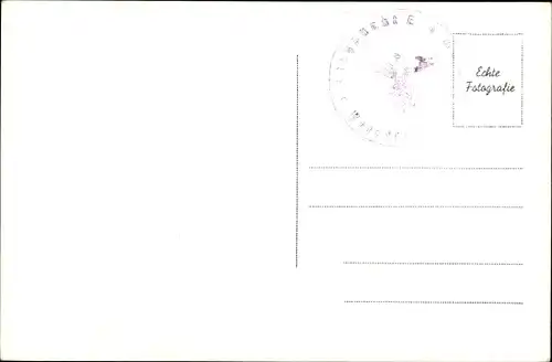 Ak Puchberg am Schneeberg Niederösterreich, Teilansicht