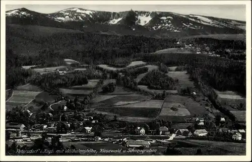 Ak Piechowice Petersdorf Riesengebirge Schlesien, Wilhelmshöhe, Kiesewald, Schneegruben
