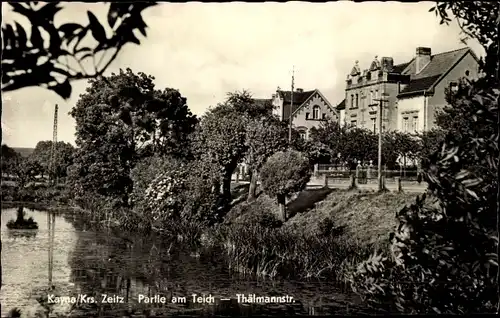 Ak Kayna Zeitz in Sachsen Anhalt, Partie am Teich, Thälmannstraße