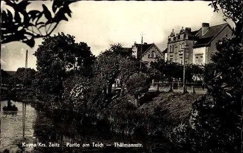 Ak Kayna Zeitz in Sachsen Anhalt, Partie am Teich, Thälmannstraße
