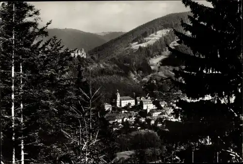 Ak Leutenberg in Thüringen, Panorama