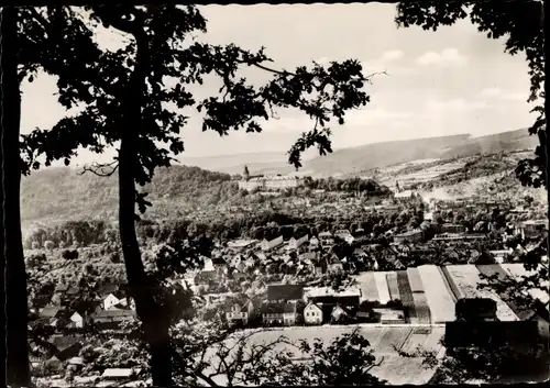 Ak Rudolstadt in Thüringen, Panorama