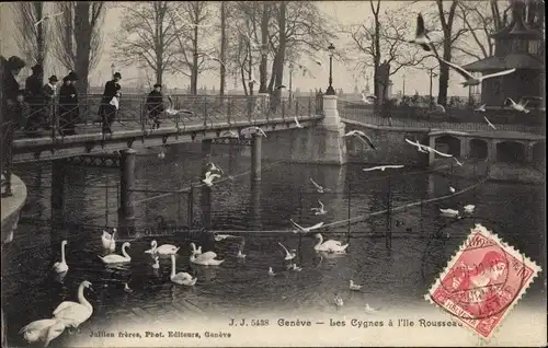 Ak Genf Genf Schweiz, Die Schwäne auf der Ile Rousseau