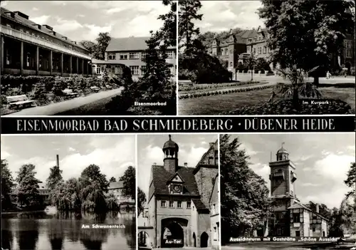Ak Bad Schmiedeberg in der Dübener Heide, Au-Tor, Eisenmoorbad, Im Kurpark