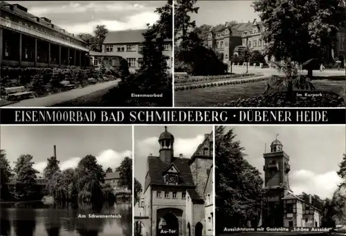 Ak Bad Schmiedeberg (Bezirk Halle) Dübener Heide, Im Kurpark, Eisenmoorbad, Schwanenteich