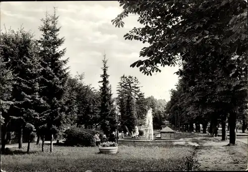 Ak Friedrichsbrunn Thale im Harz, Park, Springbrunnen
